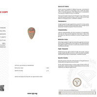 18.97 Ct. Cabochon White Opal from Australia Scan Report