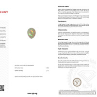 21.19 Ct. Cabochon White Opal from Australia Scan Report