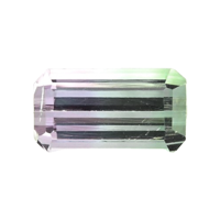 1.58 Ct. Tourmaline from Madagascar Video