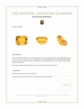 11.15 Ct. Citrine from Ceylon (Sri Lanka) Appraisal