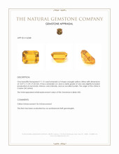 11.15 Ct. Citrine from Ceylon (Sri Lanka) Appraisal