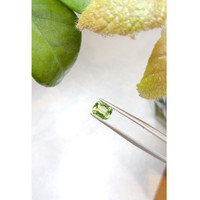 1.51 Ct. Peridot from Tanzania Life Style