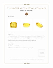 13.37 Ct. Citrine from Brazil Appraisal