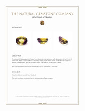 6.59 Ct. Ametrine from Brazil Appraisal