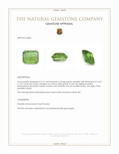 14.76 Ct. Prasiolite from Brazil Appraisal