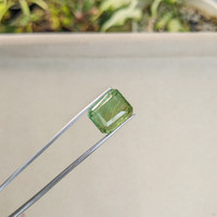 14.76 Ct. Prasiolite from Brazil Life Style