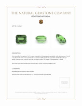 14.76 Ct. Prasiolite from Brazil Appraisal