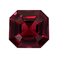 7.48 Ct. Garnet from Ceylon (Sri Lanka) Video