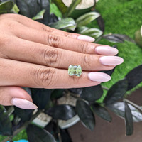 5.46 Ct. Grossular Garnet from Tanzania Life Style