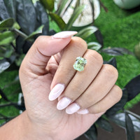 5.46 Ct. Grossular Garnet from Tanzania Life Style