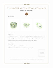 Jewelry Appraisal