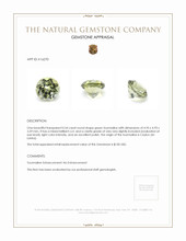 0.54 Ct. Green Tourmaline from Ceylon (Sri Lanka) Appraisal