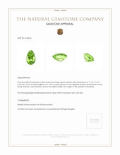 3.58 Ct. Green Peridot from Tanzania Appraisal