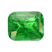 1.54 Ct. Tsavorite Garnet from Tanzania Video