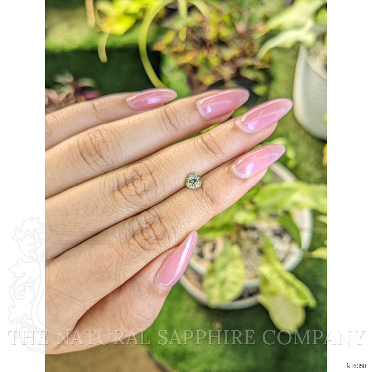 0.55 Ct. Tourmaline from Ceylon (Sri Lanka)