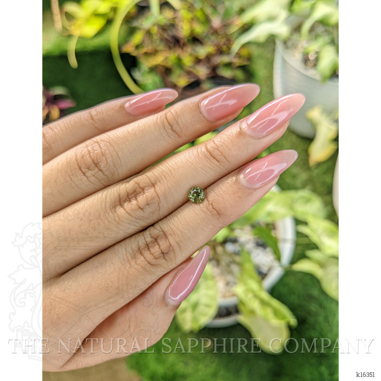 0.53 Ct. Tourmaline from Ceylon (Sri Lanka)