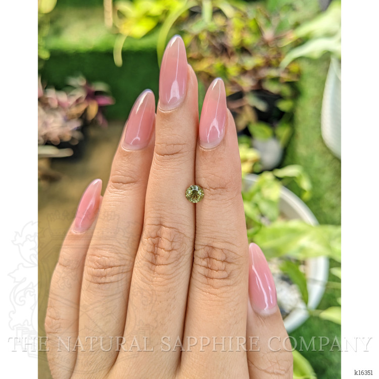 0.53 Ct. Tourmaline from Ceylon (Sri Lanka)