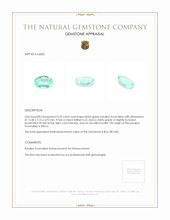 3.39 Ct. Paraiba Tourmaline from Africa Appraisal