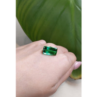 8.93 Ct. Tourmaline from Brazil Life Style