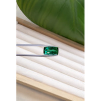 8.93 Ct. Tourmaline from Brazil Life Style