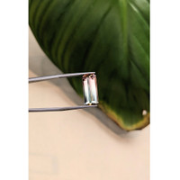 4.68 Ct. Tourmaline from Brazil Life Style