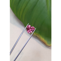 7.39 Ct. Tourmaline from Brazil Life Style