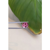 4.56 Ct. Tourmaline from Brazil Life Style