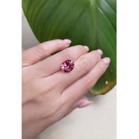 4.56 Ct. Tourmaline from Brazil Life Style