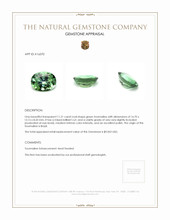 11.21 Ct. Tourmaline from Brazil Appraisal