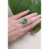 11.21 Ct. Tourmaline from Brazil Life Style