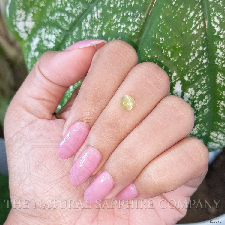 1.05 Ct. Cabochon Chrysoberyl from Ceylon (Sri Lanka)