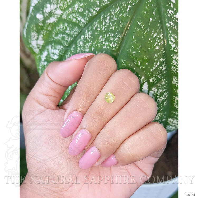 1.05 Ct. Cabochon Chrysoberyl from Ceylon (Sri Lanka)