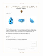 34.21 Ct. Swiss Blue Topaz from Brazil Appraisal