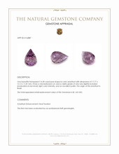 14.28 Ct. Bi Color Amethyst from Brazil Appraisal