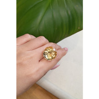 27.94 Ct. Citrine from Brazil Life Style