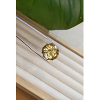 27.94 Ct. Citrine from Brazil Life Style