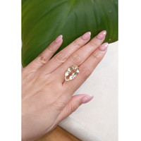 12.75 Ct. Citrine from Brazil Life Style