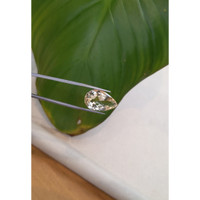 12.75 Ct. Citrine from Brazil Life Style