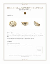 10.02 Ct. Yellowish Brown Citrine from Brazil Appraisal