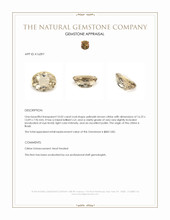 10.02 Ct. Citrine from Brazil Appraisal