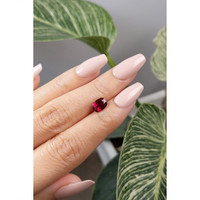 1.75 Ct. Garnet from Ceylon (Sri Lanka) Life Style