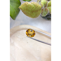 8.39 Ct. Citrine from Brazil Life Style