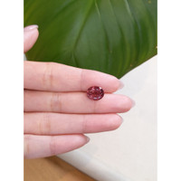 3.66 Ct. Tourmaline from Mozambique Life Style