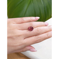 3.66 Ct. Tourmaline from Mozambique Life Style