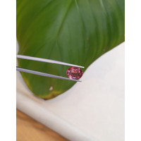 3.66 Ct. Tourmaline from Mozambique Life Style