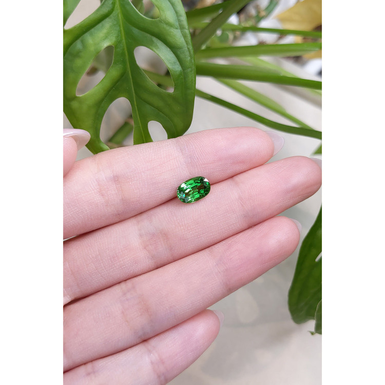 1.73 Ct. Tsavorite Garnet from East Africa