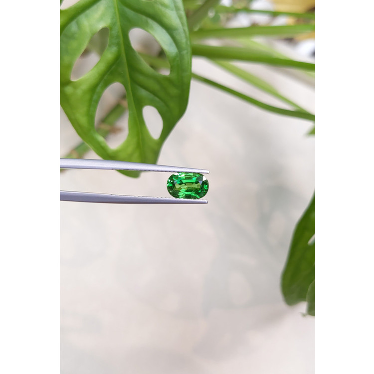 1.73 Ct. Tsavorite Garnet from East Africa