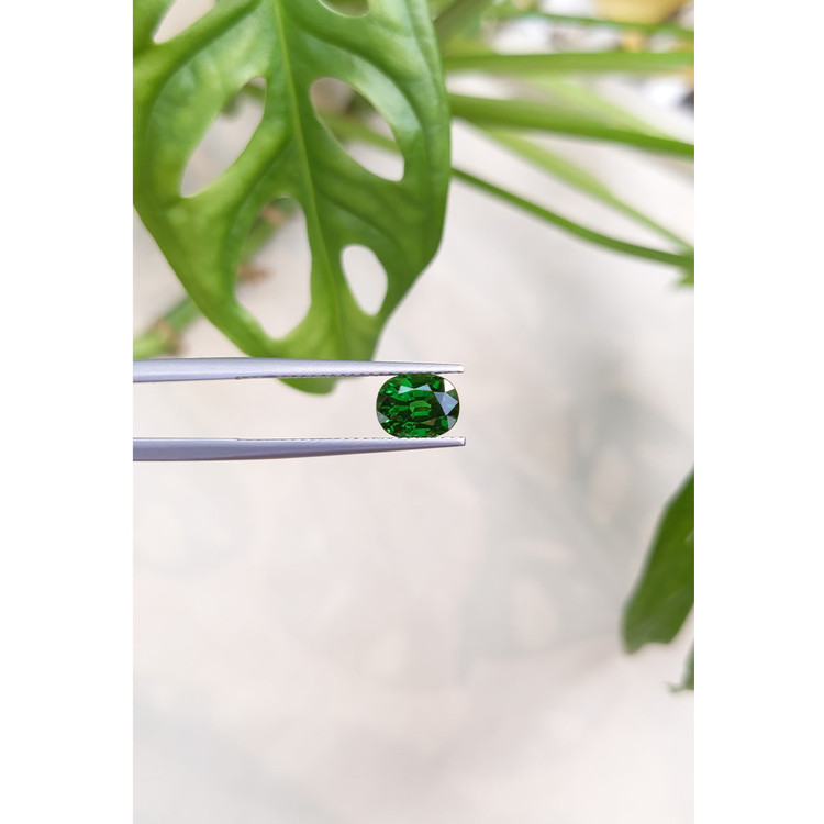 1.70 Ct. Tsavorite Garnet from East Africa
