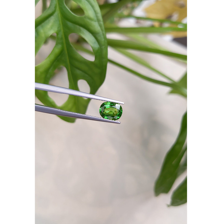 1.31 Ct. Tsavorite Garnet from East Africa