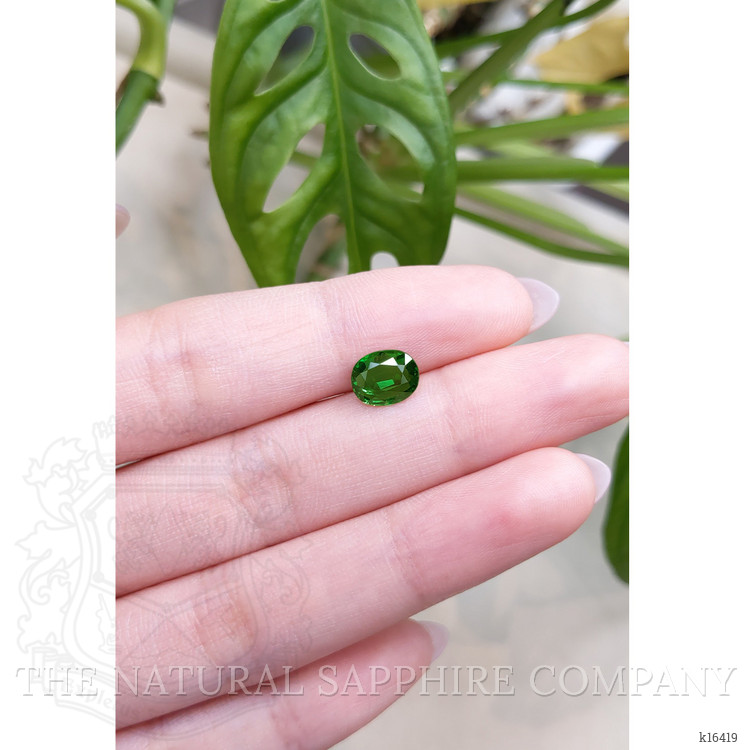 1.73 Ct. Tsavorite Garnet from East Africa